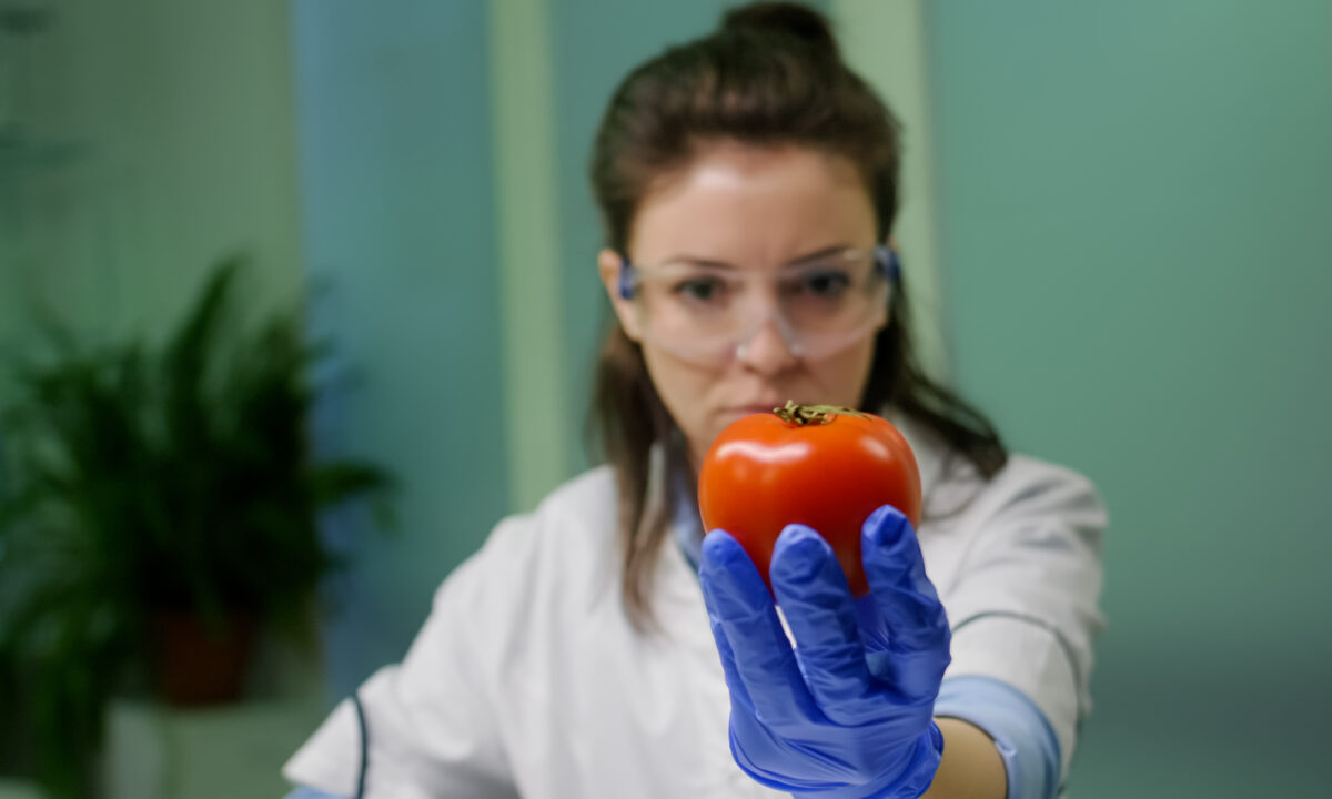 Corso HACCP: La Chiave per la Sicurezza Alimentare